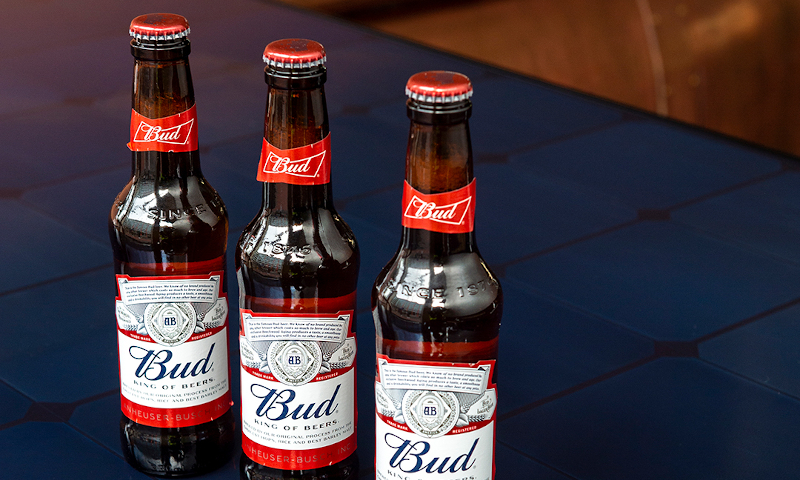 Bud bier op zonnepaneel